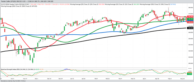 August Feeder Cattle – Daily