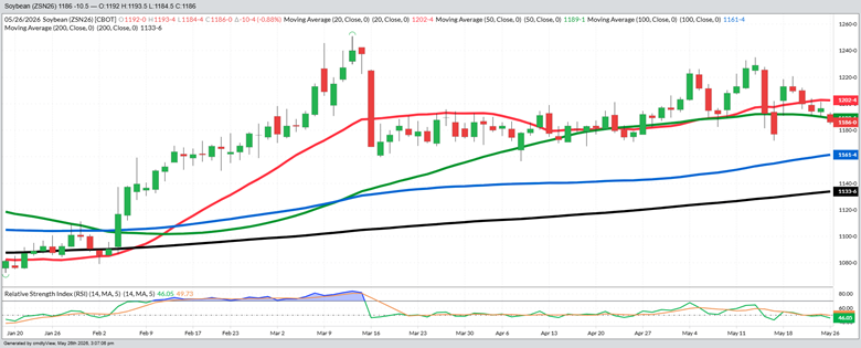 July Beans – Daily