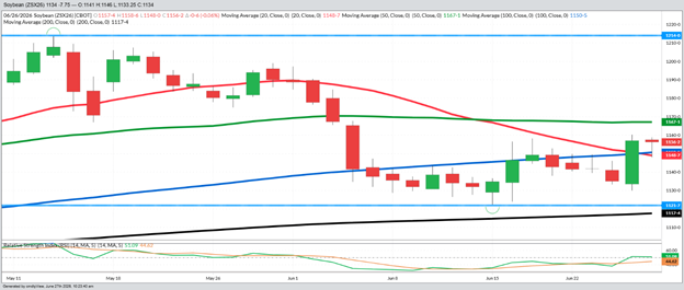 November Beans – Daily