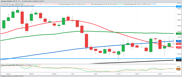 November Beans – Daily