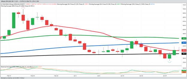 September Wheat - Daily