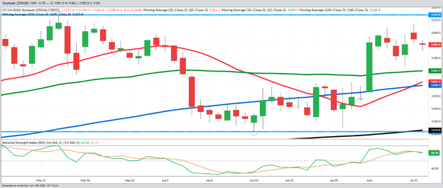 November Beans – Daily