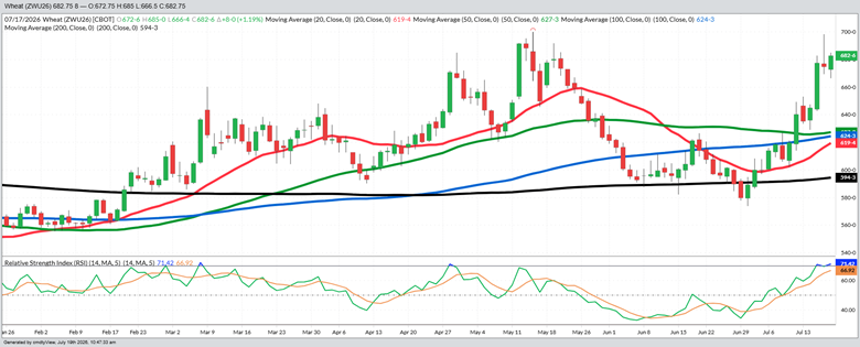 September Wheat - Daily