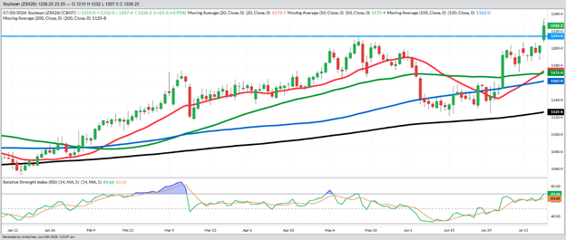 November Beans – Daily