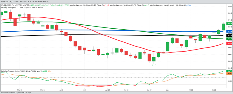 December Corn – Daily