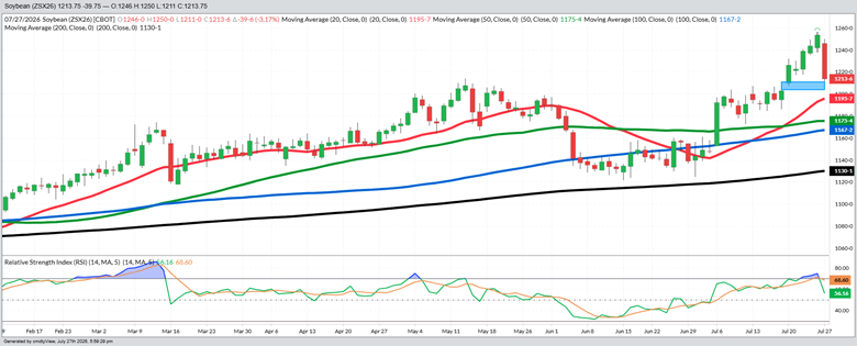 November Beans – Daily