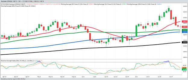 November Beans – Daily