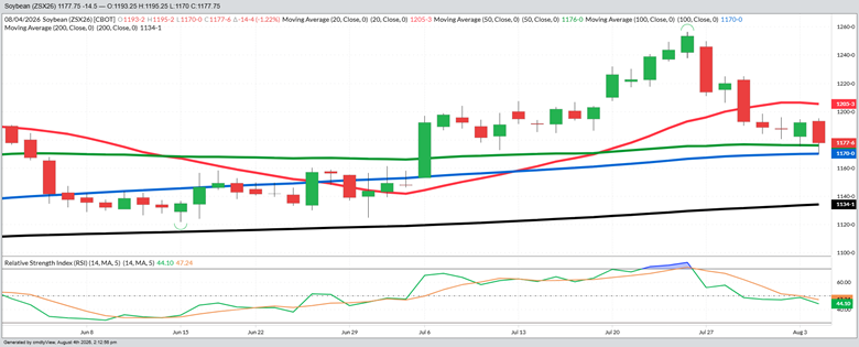 November Beans – Daily