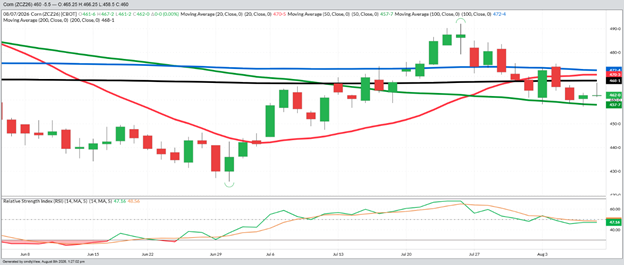 December Corn – Daily