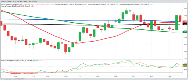 December Corn – Daily
