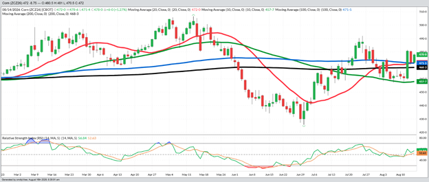 December Corn – Daily