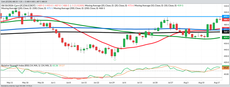 December Corn – Daily