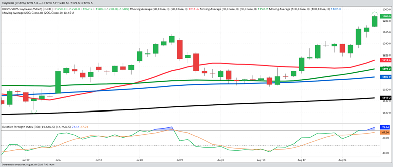 November Beans – Daily