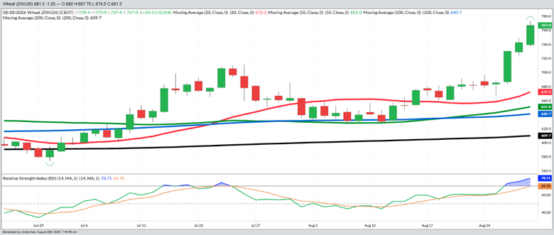 September Wheat - Daily