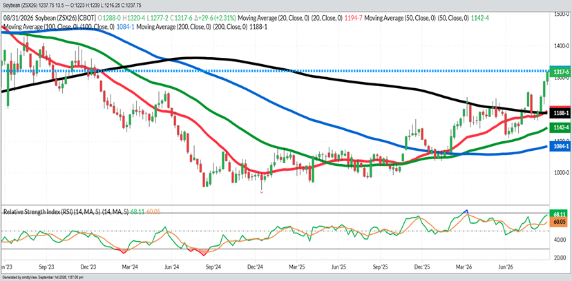 Spot Beans – Weekly