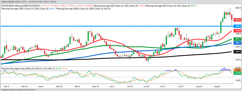 December Wheat – Daily