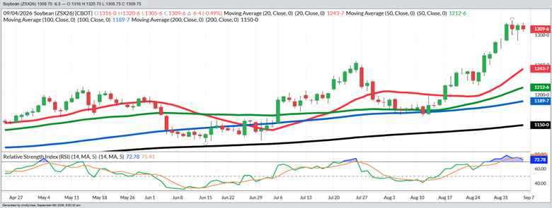 November Beans – Daily