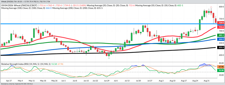 December Wheat - Daily