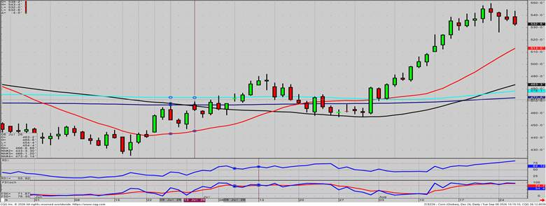 December Corn - Daily