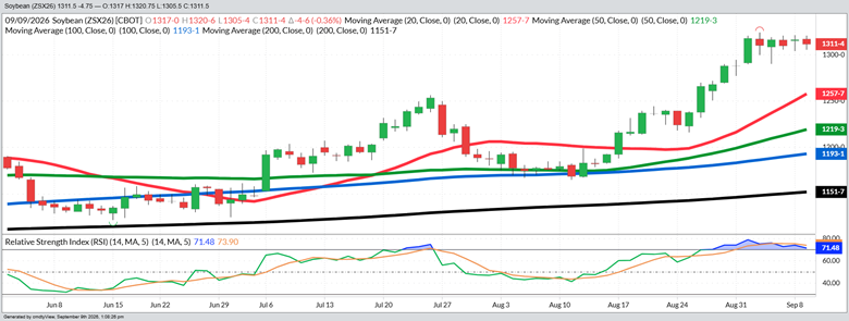 November Beans - Daily