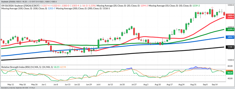 November Beans – Daily