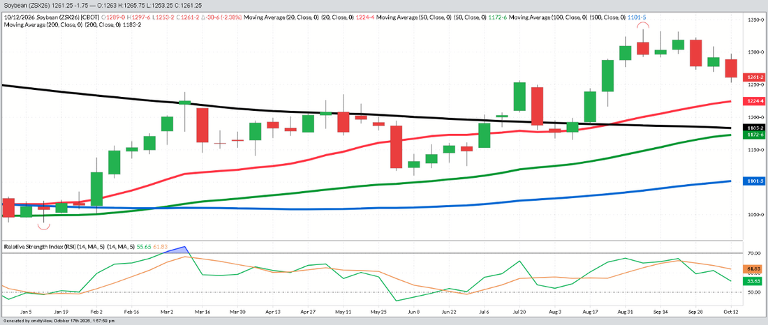 November Beans – Weekly