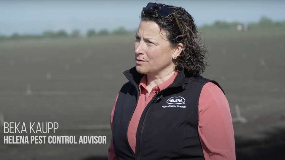 Beka Kaupp on California’s Central Coast