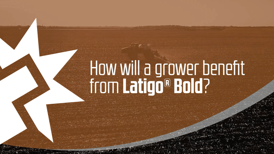 Latigo Bold