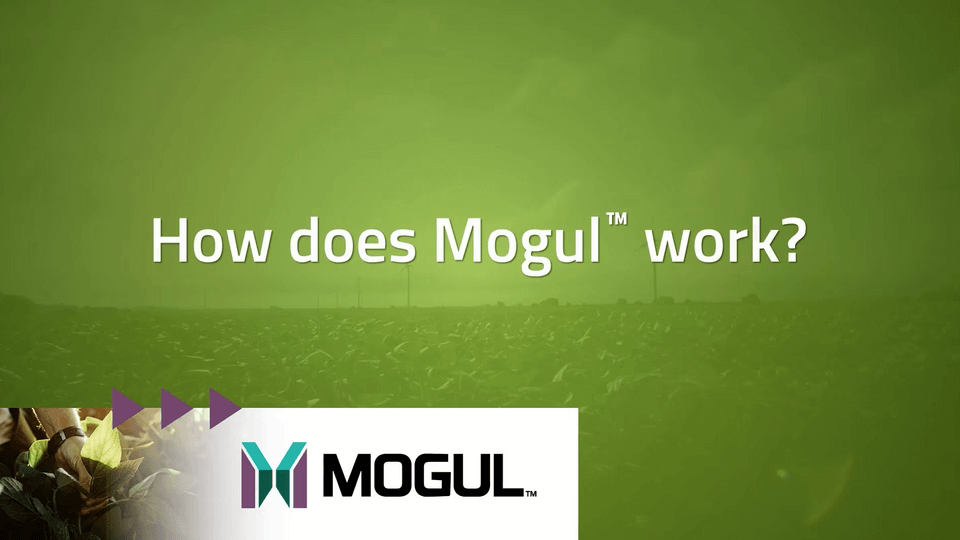 Mogul