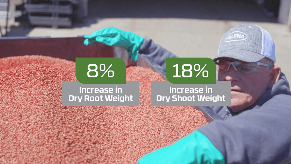 First Defense Cereals ZX