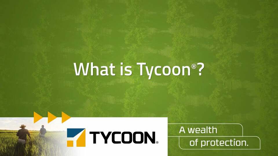 Tycoon