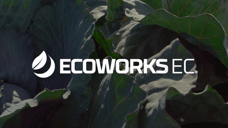 EcoWorks EC