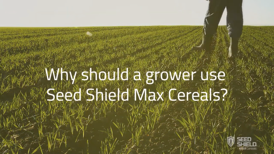 Seed Shield Max Cereals