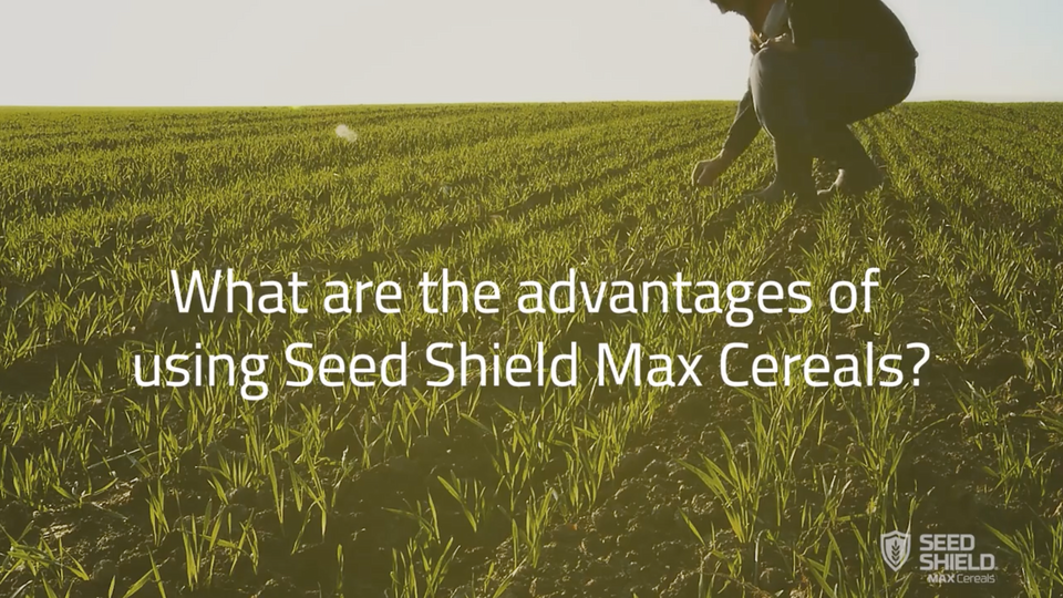 Seed Shield Max Cereals