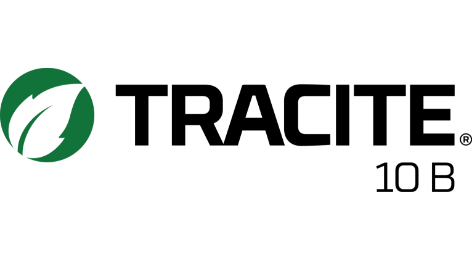 Tracite 10 B